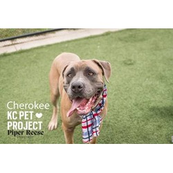 Photo of Cherokee