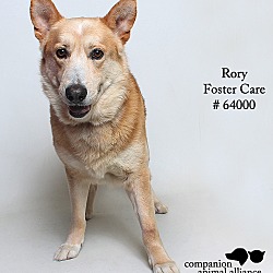 Thumbnail photo of Rory (Foster) #2
