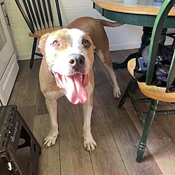 Photo of Frankie