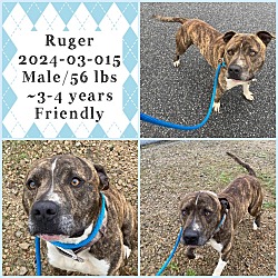 Photo of 2024-03-015 *Ruger*
