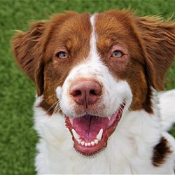 Photo of WI/Microwave aka Mika (Bonded w Toaster)