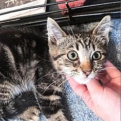 Thumbnail photo of Lennon #1