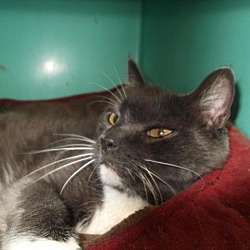 Photo of Boo