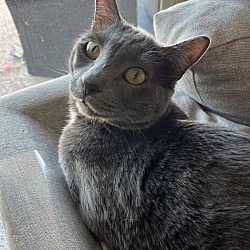 Photo of Rasputin