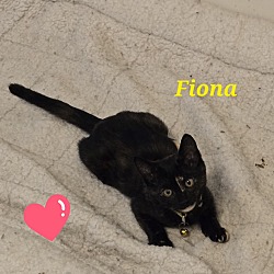 Thumbnail photo of Fiona R #2