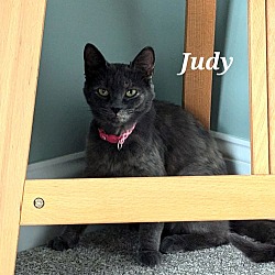 Thumbnail photo of Judy #4