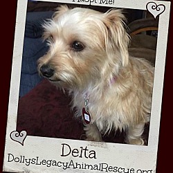 Thumbnail photo of DELTA #1