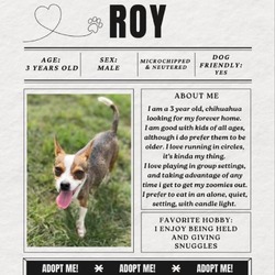 Thumbnail photo of Roy #1