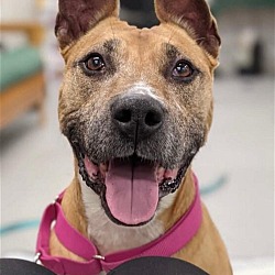 Photo of Peggy