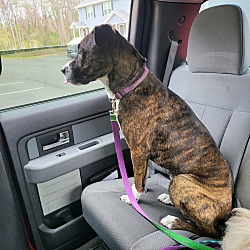 Photo of Max