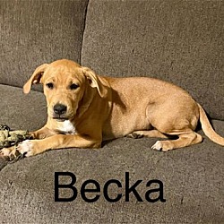 Photo of Becka