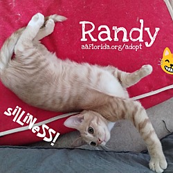 Thumbnail photo of Randy #1