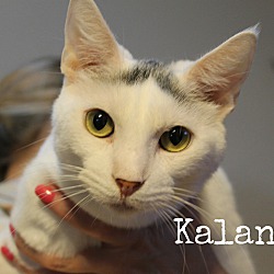 Thumbnail photo of Kalani #1