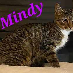 Photo of Mindy