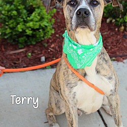 Thumbnail photo of Terry #2