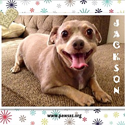 Thumbnail photo of Jackson (Jack) #1