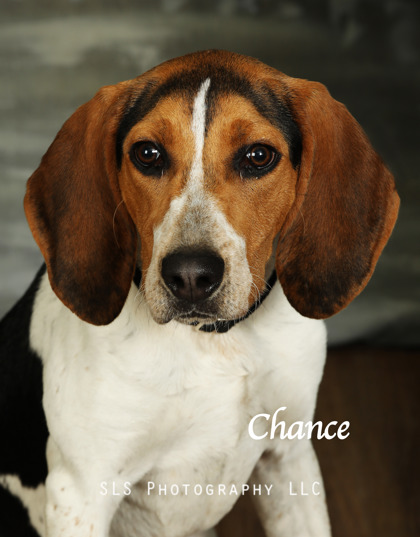 Thumbnail photo of Chance #1