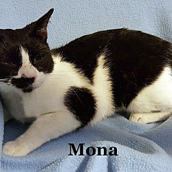 Thumbnail photo of Mona #2