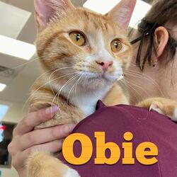 Thumbnail photo of Obie #2