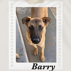 Thumbnail photo of Barry #1