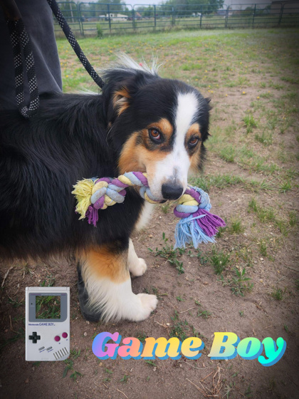 Photo of Game Boy