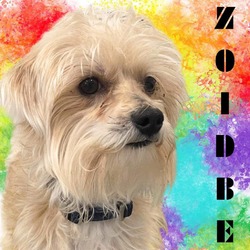 Thumbnail photo of Zoidberg #2