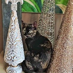 Photo of Athena