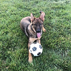 Photo of Maverick