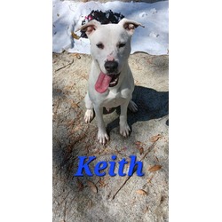 Thumbnail photo of Keith #2