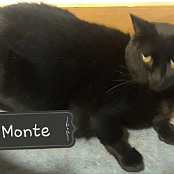 Photo of Monte
