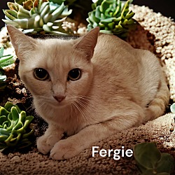 Photo of Fergie