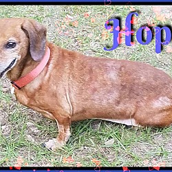 Thumbnail photo of Hope #4