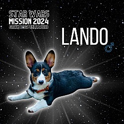 Photo of Lando