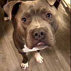 Photo of Riley