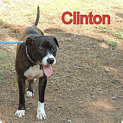 Thumbnail photo of Clinton #4