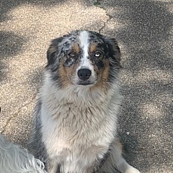 Photo of Lady