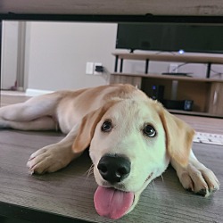 Photo of Percy