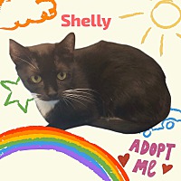 adopt a pet
