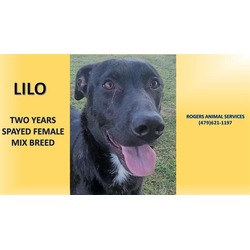 Photo of LILO