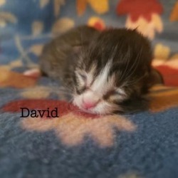 Photo of David