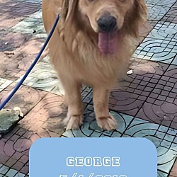 Photo of George