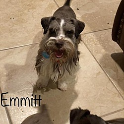 Photo of Emmitt