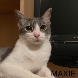Photo of Maxie