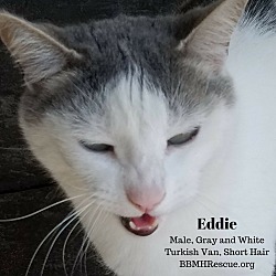 Thumbnail photo of Eddie #1
