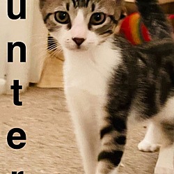 Photo of Hunter