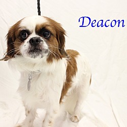 Photo of Deacon