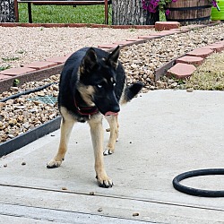 Photo of Azure