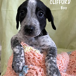 Photo of Clifford (ka)
