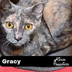 Photo of Gracy