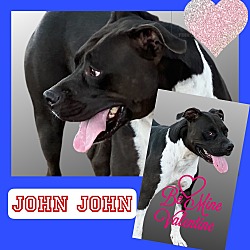 Thumbnail photo of John John #2